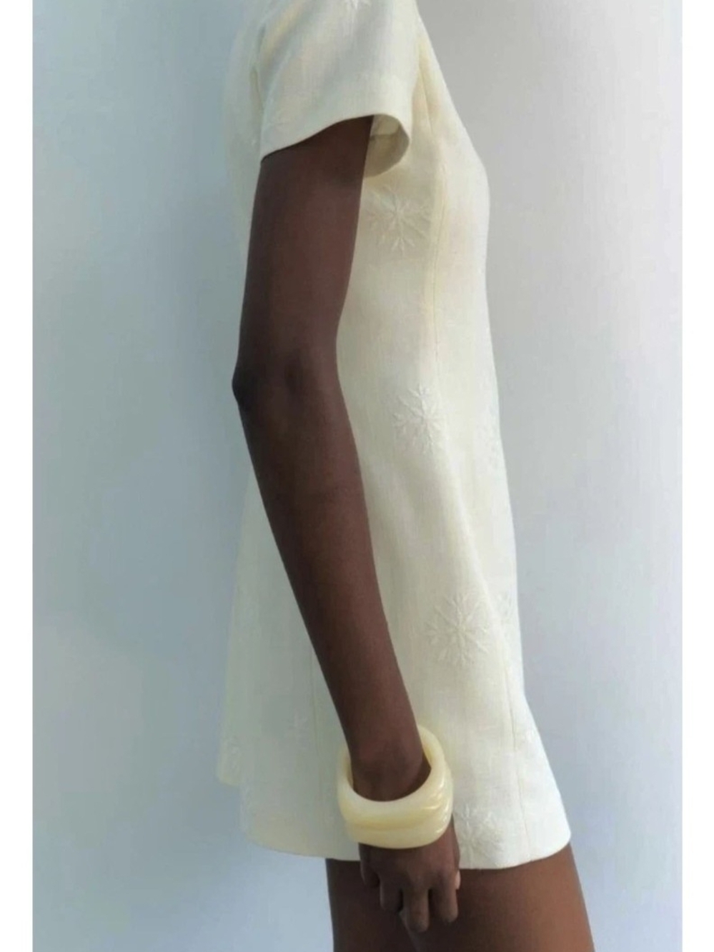 NWT ZARA EMBROIDERED MINI DRESS ZW COLLECTION